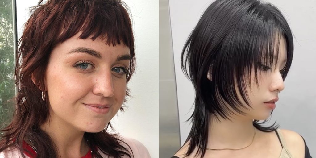 傳統鯔魚頭與現代改良版的差異