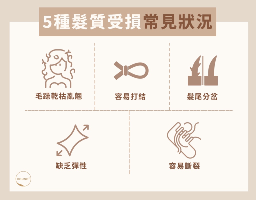 5種髮質受損常見狀況
